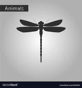 Black and white style icon of dragonfly vector image