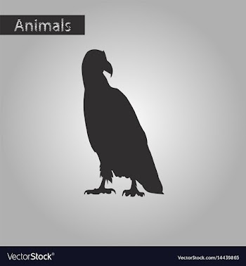 Black and white style icon of eagle vector image