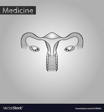 Black and white style icon of female reproductive vector image