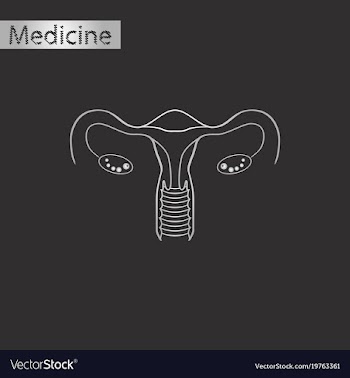 Black and white style icon of female reproductive vector image