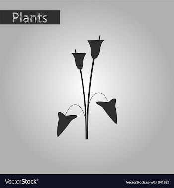 Black and white style icon of flower calla vector image