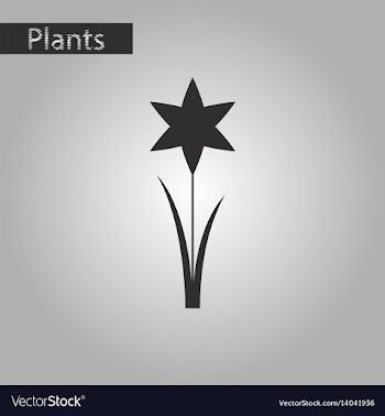 Black and white style icon of flower narcissus vector image