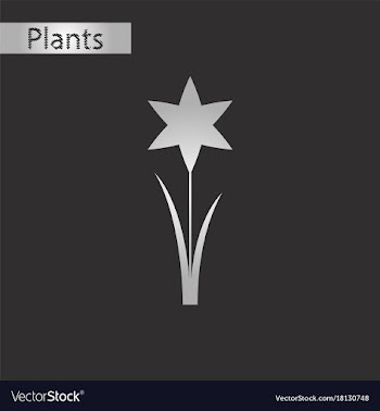 Black and white style icon of flower narcissus vector image