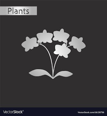 Black and white style icon of flower orhidaceae vector image