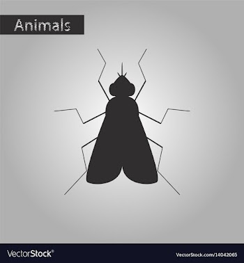 Black and white style icon of fly vector image