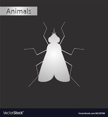 Black and white style icon of fly vector image
