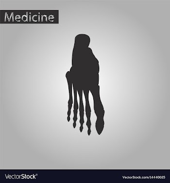 Black and white style icon of foot skeleton vector image