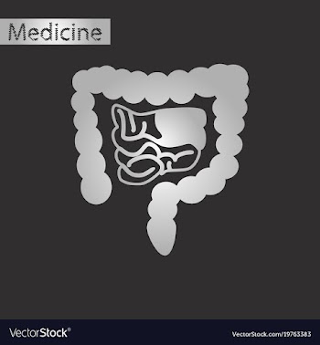 Black and white style icon of gastrointestinal vector image