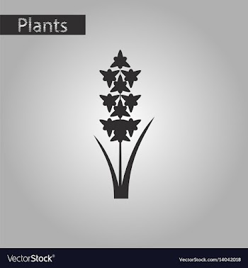 Black and white style icon of gladiolus vector image