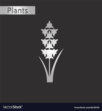 Black and white style icon of gladiolus vector image