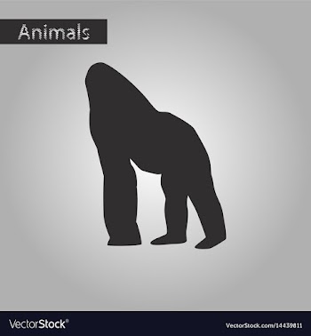 Black and white style icon of gorilla vector image
