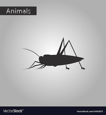 Black and white style icon of grasshopper vector image