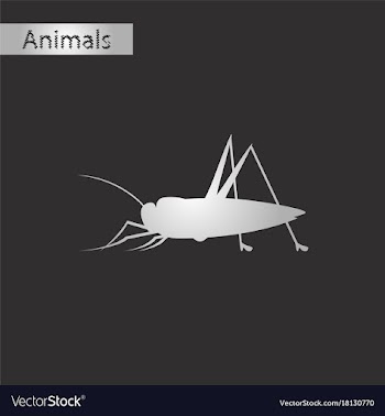 Black and white style icon of grasshopper vector image