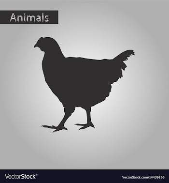 Black and white style icon of hen vector image