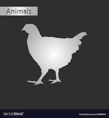 Black and white style icon of hen vector image