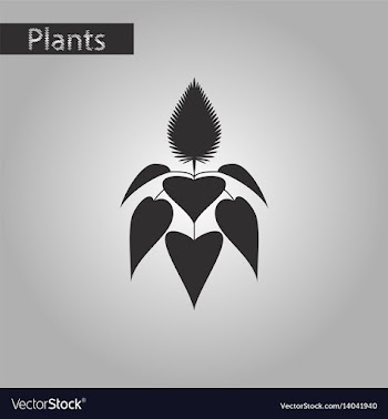 Black and white style icon of herb amaranthus vector image