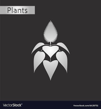 Black and white style icon of herb amaranthus vector image