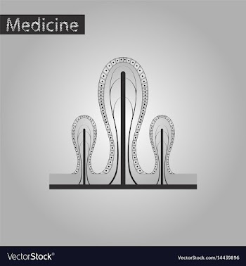 Black and white style icon of intestinal villi vector image