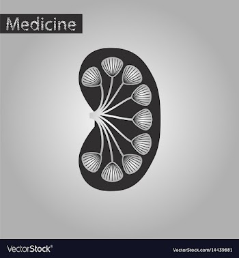 Black and white style icon of kidney vector image