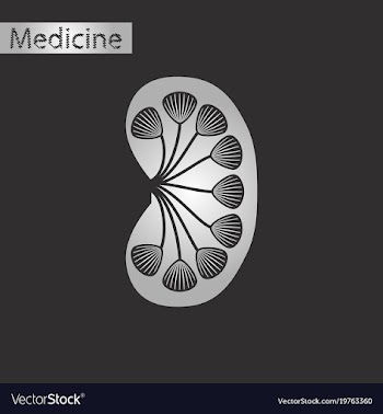 Black and white style icon of kidney vector image