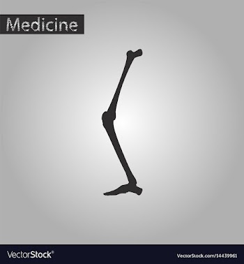 Black and white style icon of leg bone vector image