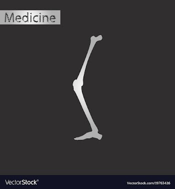 Black and white style icon of leg bone vector image
