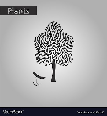 Black and white style icon of linden wood vector image