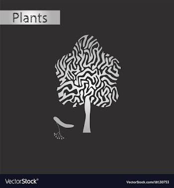 Black and white style icon of linden wood vector image