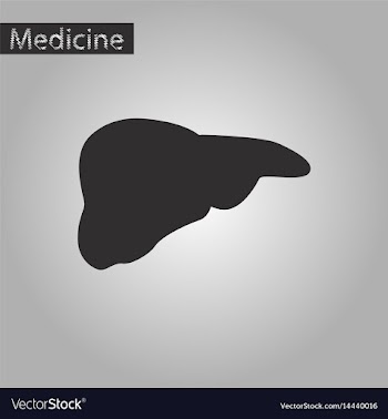 Black and white style icon of liver vector image