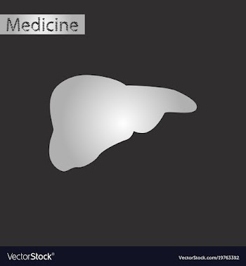 Black and white style icon of liver vector image