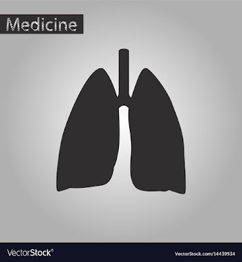 Black and white style icon of lungs and trachea vector image