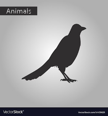Black and white style icon of magpie vector image
