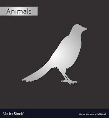 Black and white style icon of magpie vector image