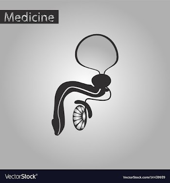 Black and white style icon of male reproductive vector image