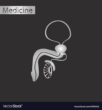 Black and white style icon of male reproductive vector image