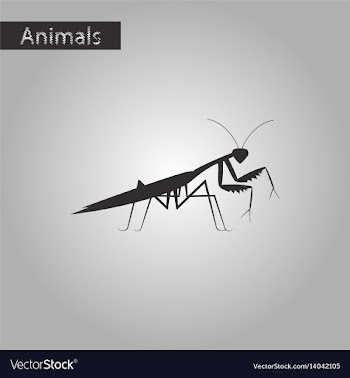 Black and white style icon of mantis vector image