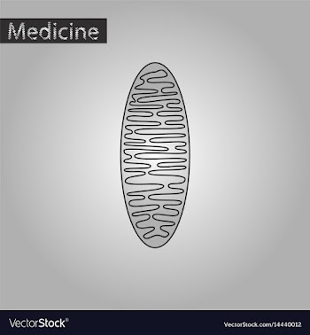 Black and white style icon of mitochondrion vector image