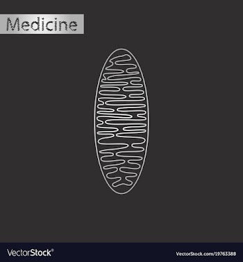 Black and white style icon of mitochondrion vector image
