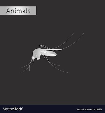 Black and white style icon of mosquito vector image