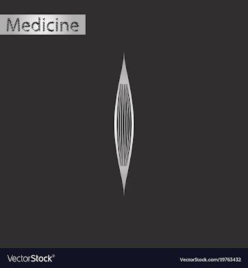Black and white style icon of muscle vector image