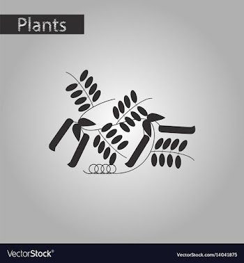 Black and white style icon of natural pisum vector image