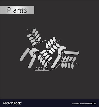 Black and white style icon of natural pisum vector image