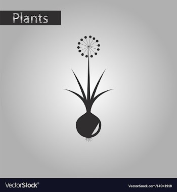 Black and white style icon of onion vector image