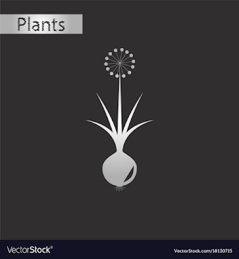 Black and white style icon of onion vector image