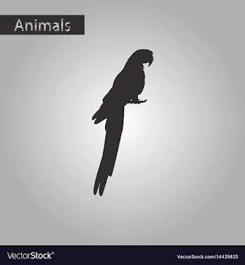 Black and white style icon of parrot vector image