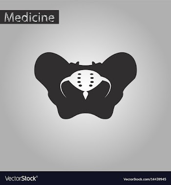 Black and white style icon of pelvic bones vector image