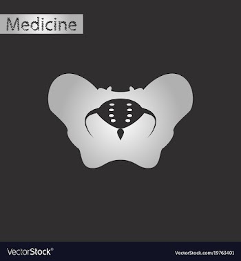 Black and white style icon of pelvic bones vector image