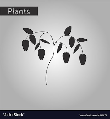 Black and white style icon of plant capsicum vector image