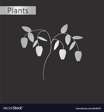 Black and white style icon of plant capsicum vector image