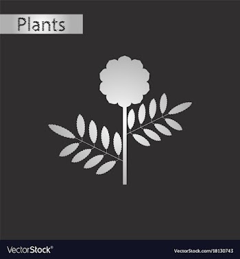 Black and white style icon of plant tagetes vector image